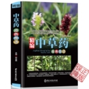 中医养生保健医学入门书籍 收录400种常见中草药植物特征性味功能炮制主治用法 中草药彩色图谱图集 精装 精编中草药原色图谱彩图版