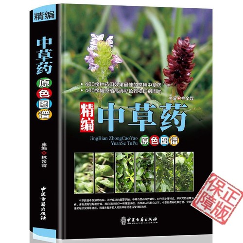 精编中草药原色图谱彩图版精装收录400种常见中草药植物特征性味功能炮制主治用法 中医养生保健医学入门书籍 中草药彩色图谱图集