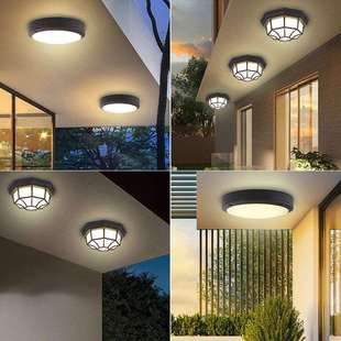 新中式户外防水吸顶灯室外阳台灯走廊过道灯入户大门口房檐吸顶灯