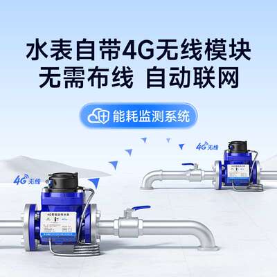 4G无线远传智能水表工业用大口径法兰远程抄表水表赠能耗监测系统