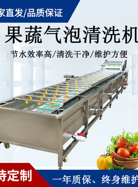 全自动气泡清洗机毛豆豆角辣椒酸菜洗菜机食品包装袋清洗风干设备