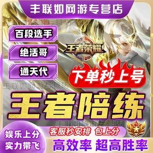 【线下工作室】王者荣耀陪玩陪练排位上分娱乐陪玩车队刷表现分