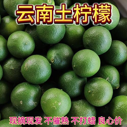 云南新鲜小青柠金桔水果柠檬