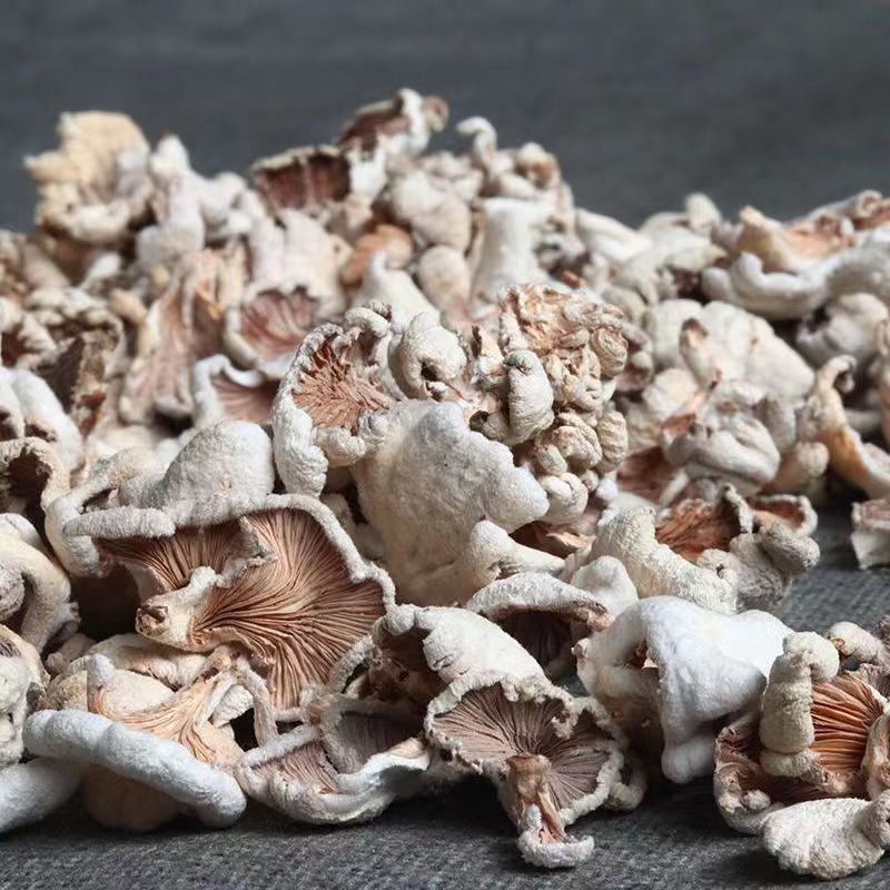 白参菌野生干货云南特产煲汤炒菜