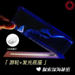 铭汇通永不翻船的摆件海贼王阳光号不翻摆件海贼王永不翻船万里车