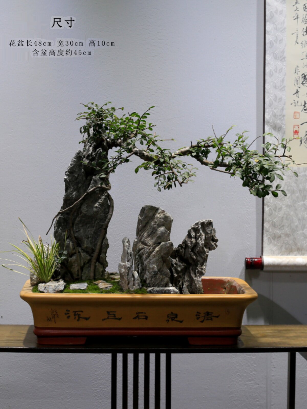 销造型提跟小叶榆树老桩盆景一物一拍大型植物室内客厅办公室绿植