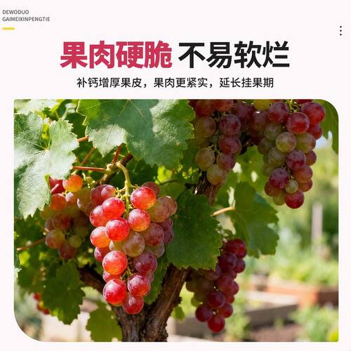 葡萄树专用肥料钙镁锌硼铁叶面肥提子果树通用型中微量元素水溶肥