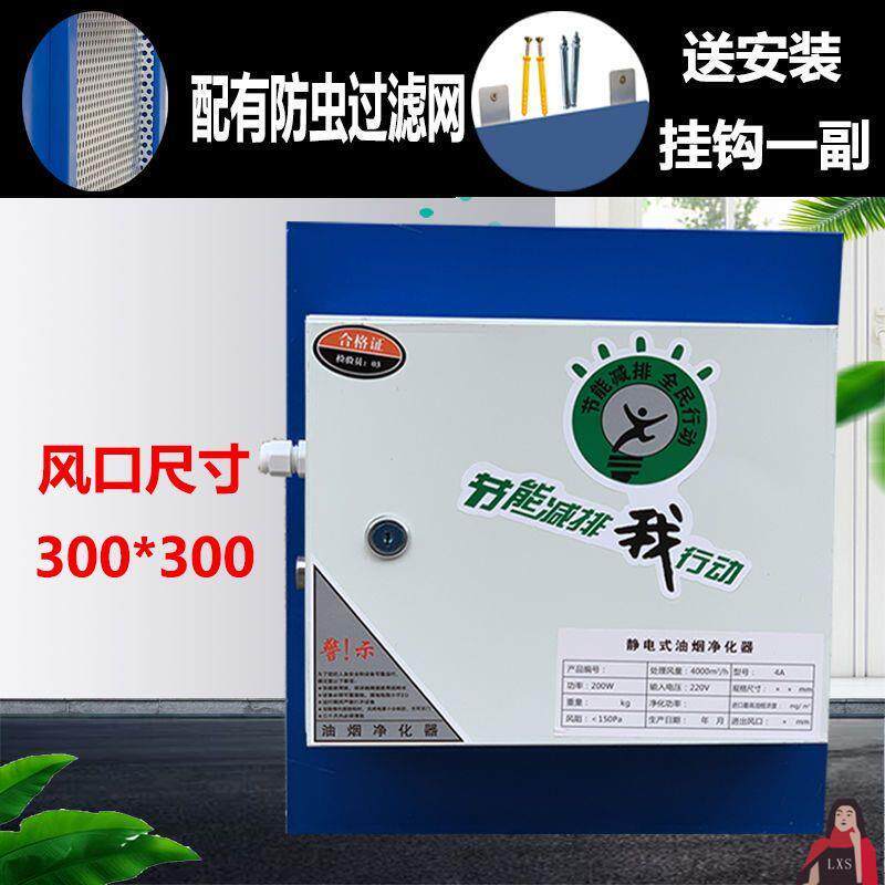 包邮油烟净化器4000风量小型饭店商用厨房餐饮静电式油烟分离器