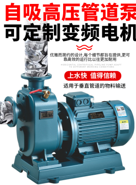 人民BZ自吸泵ZW污水泵卧式管道离心泵大流量增压380V三相排污泵