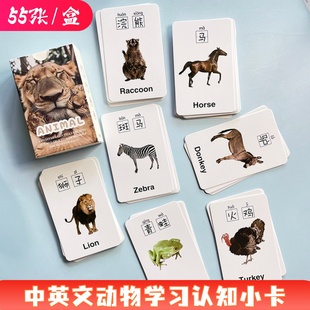 55张中英文动物小卡幼儿园儿童早教启蒙学习认知益智明信片小卡片