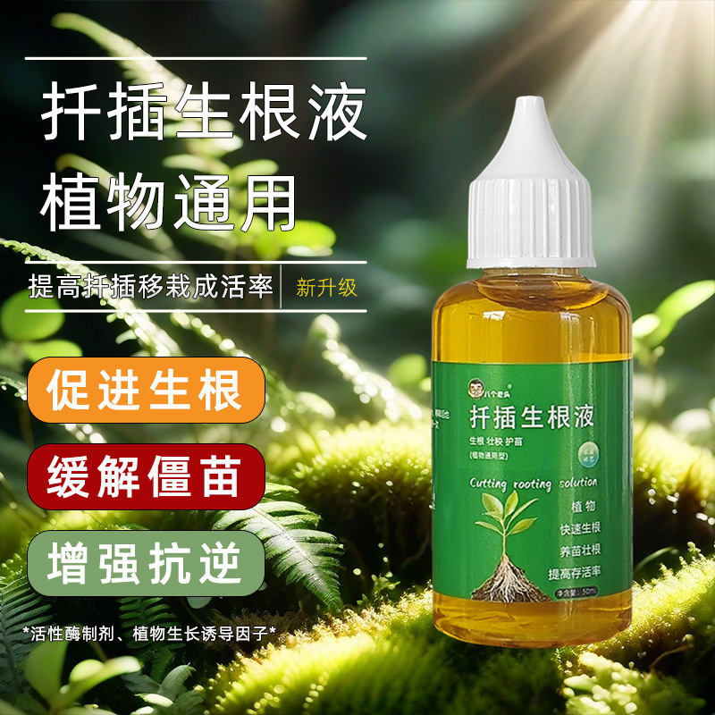 速发植速生液根粉剂扦插营养液快物通用型水培花卉绿植促生根生长