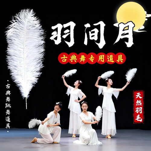 羽间月舞蹈道具天然白色羽毛古典舞台表演出鸵鸟羽毛鸽颂跳舞专用