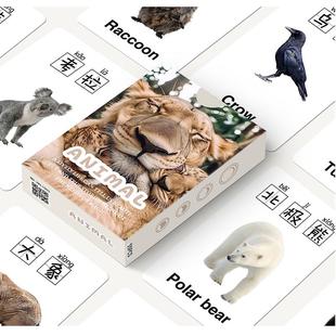 写实动物认知卡片儿童早教启蒙益智闪卡看图识物注意力训练卡片