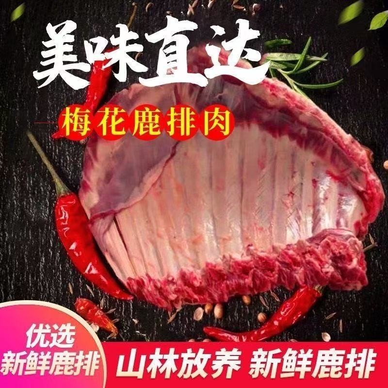 正宗新鲜现杀散养梅花鹿肉不带皮鹿排 肋排 排骨 鹿排骨顺丰包邮