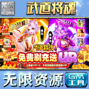 武道将魂gm后台工具无限元宝钻石手游游戏非辅助版包站单机版安卓平台联网