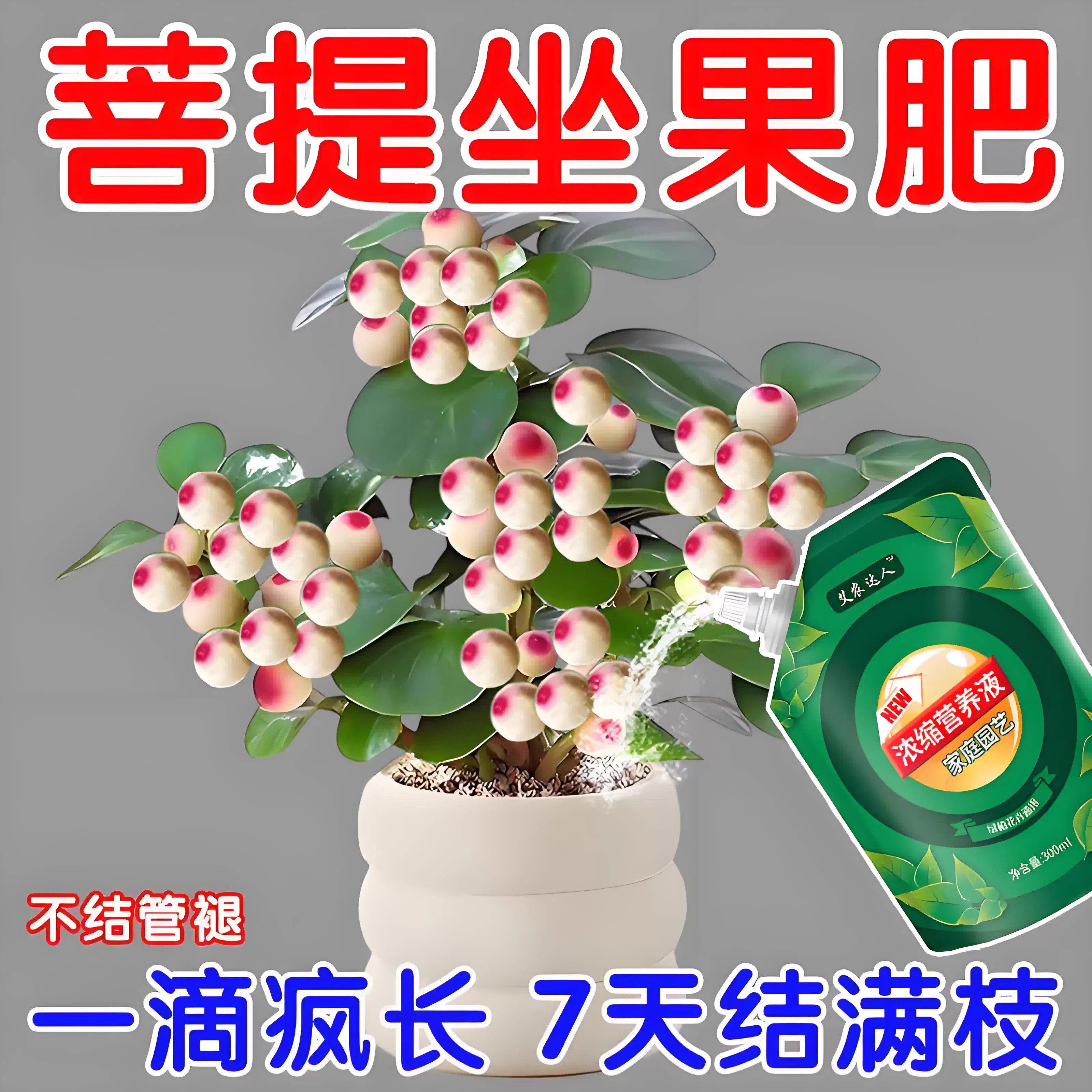 小盼菩提营养液防黄叶烂根叶面肥