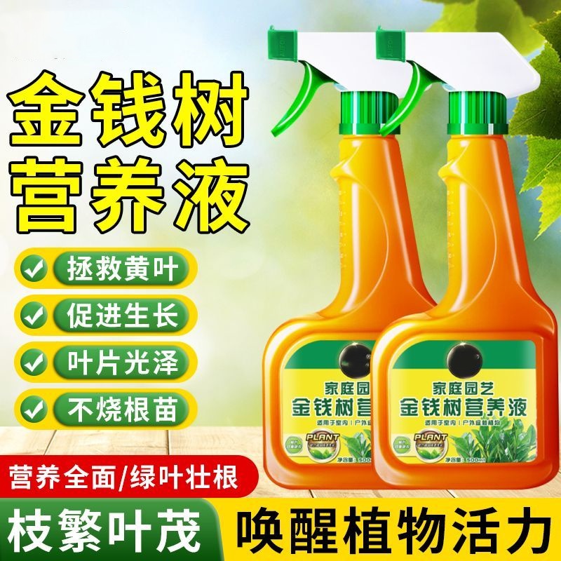 金钱树肥料专用肥营养液家用