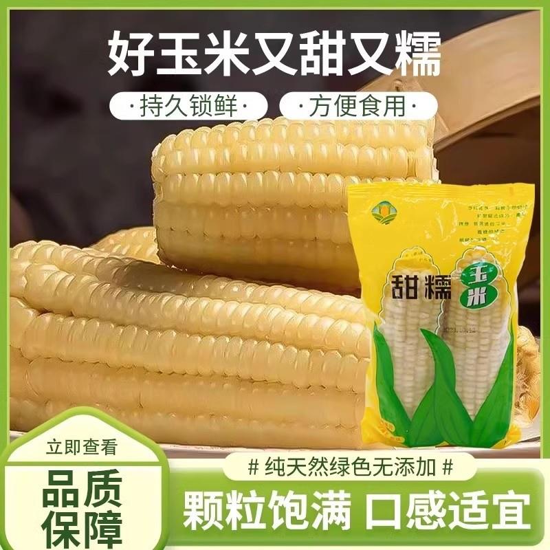 新货正宗东北白糯玉米新鲜内蒙古玉味宝甜糯玉米黏玉米玉味宝玉米