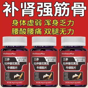 正宗三参雄芪牛磺酸片人参海参西洋参杜仲雄花黄芪男士