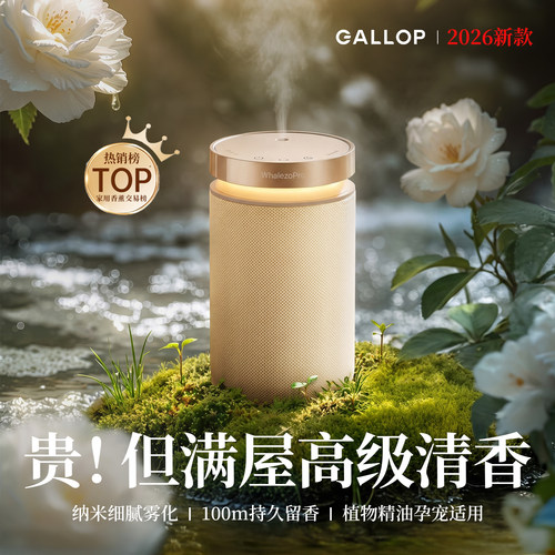 【热销TOPI】新二流体香薰机家用