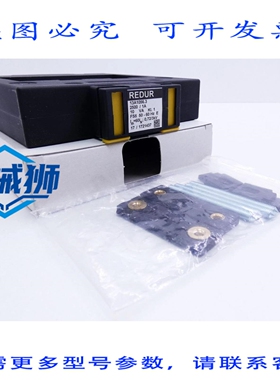 原装供应 REDUR 13A1056.3 2500/1A 10VA 1类 FS5 电流互感器 -