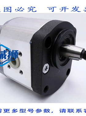 原装供应 REXROTH 1517 222 364 AZPF-11-011LCP20MM-S0007 外齿