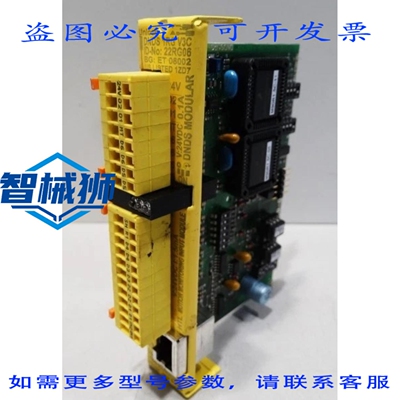 原装供应 DINA ELECTRONICS DNDS 1RG V3C DNDS1RGV3C 22RG06 解