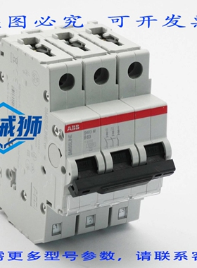 原装供应 SMISSLINE S403 M B63 2CCS573001R0635 断路器