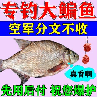 速发散鱼专用饵料主攻鳊鱼黑坑野钓鳊鱼扁鱼武昌料鳊炮小药爆护饵