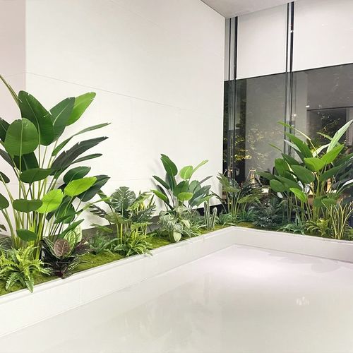 速发观天竹绿植造景组合物窗装饰假植橱台景南玄关室内氛围假树