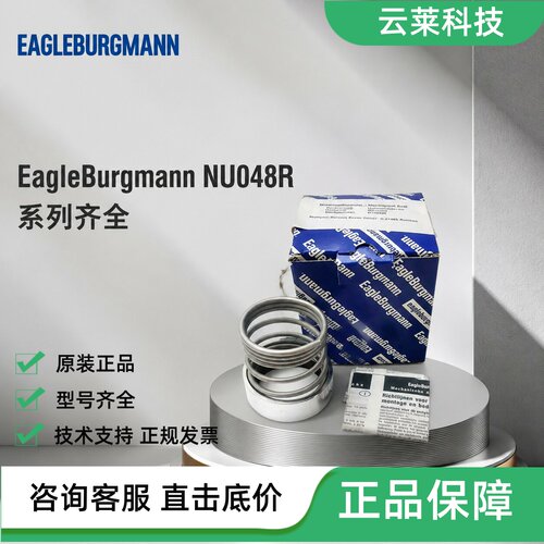 EagleBurgmann机械密封NU048R-M32N69