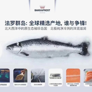丹麦法罗冰鲜三文鱼整条顺丰包邮