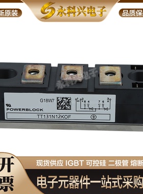 英飞凌可控硅二极管TT131N12KOF/14KOF/16KOF TT142N12KOF/14KOF