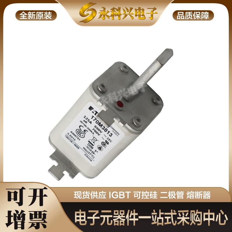 巴斯曼熔断器170M3812D/3813D