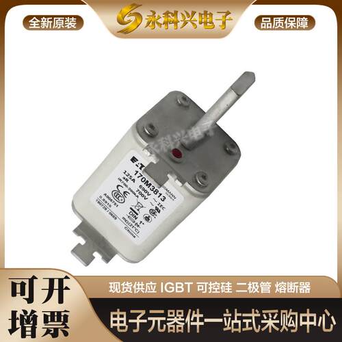 巴斯曼熔断器170M3812D/3813D