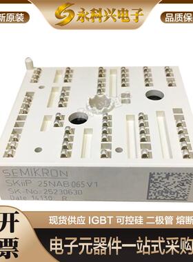 全新西门康SKIIP24NAB126V10/SKIIP25NAB066V1/065V1现货原装