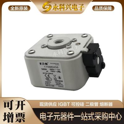 巴斯曼熔断器170M5512/5513/5514