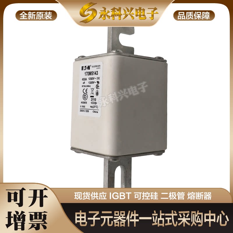 全新进口巴斯曼熔断器170M5016/5017/5018/6008/6009/6010/6011 - 实物图