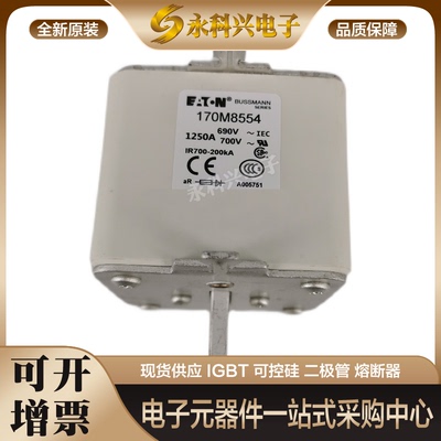 巴斯曼熔断器170M5538/5539/5540