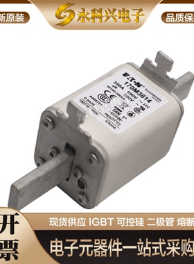 全新现货巴斯曼熔断器170M3972/3973/3974/3975/4965/4966/4967