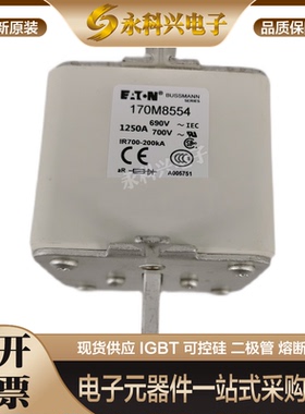 全新进口巴斯曼熔断器170M8535/8536/8537/8538/8539/8540/8541
