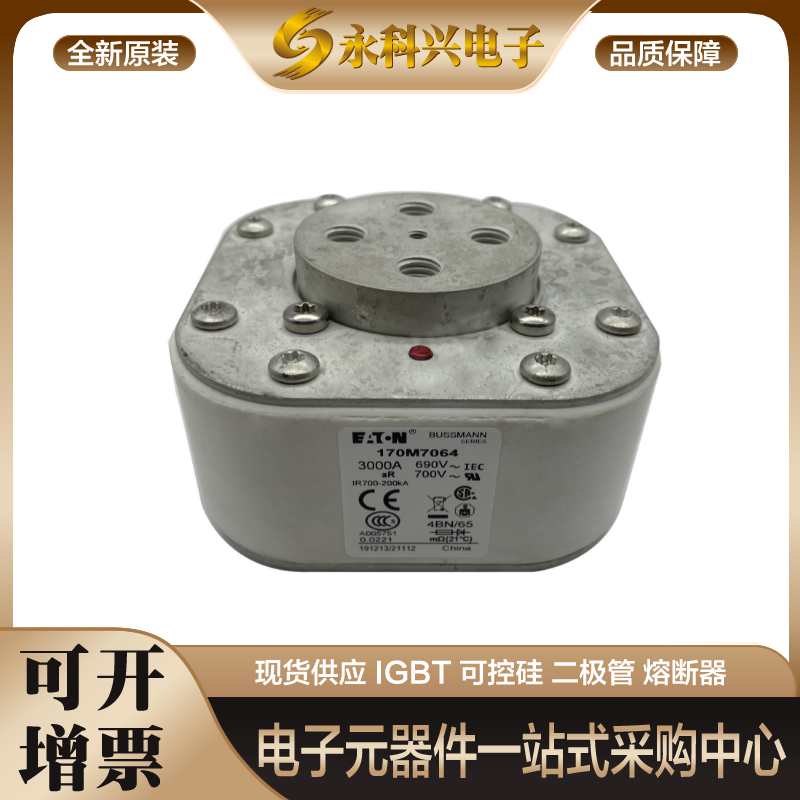 巴斯曼熔断器170M7060/7061/7062