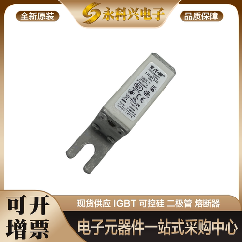 巴斯曼熔断器170M1308170M863