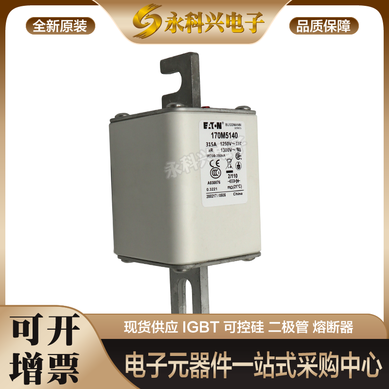 巴斯曼熔断器170M4695/4696/4697