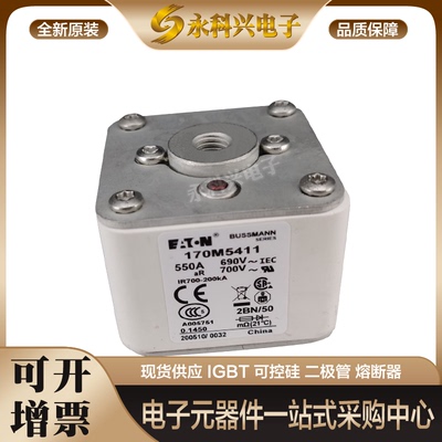 熔断器保险丝170M5359/5360/5361