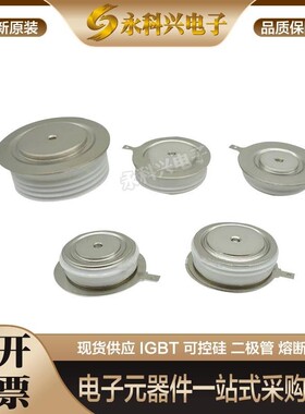全新西码可控硅平板型N105CH12/16 N170CH12/16 N195CH12/16 现货