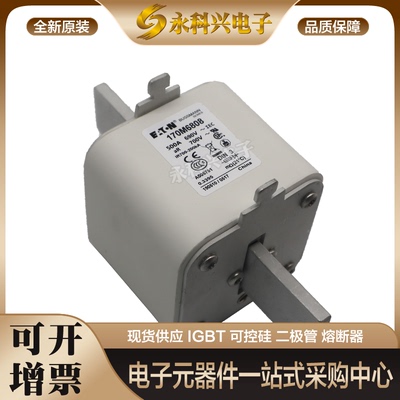 巴斯曼熔断器170M6765/6766/6767