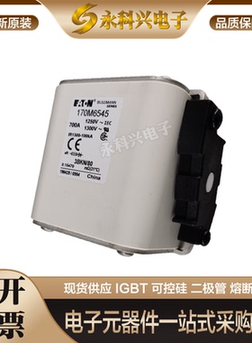 全新快速熔断器保险170M6646/6647/6648/6649/6650/6651/3308现货