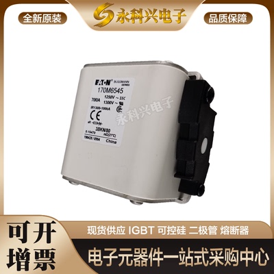 快速熔断器170M6646/6647/6648