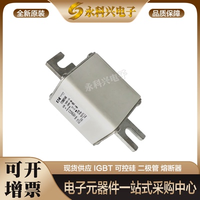 巴斯曼熔断器170M6108/6109/6110